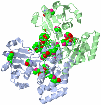 Image Biol. Unit 1 - sites