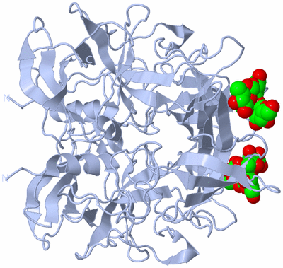 Image Biological Unit 1