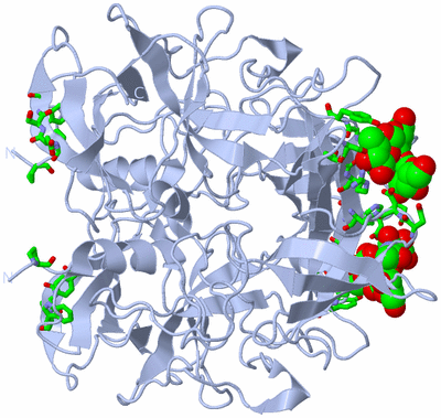 Image Biol. Unit 1 - sites