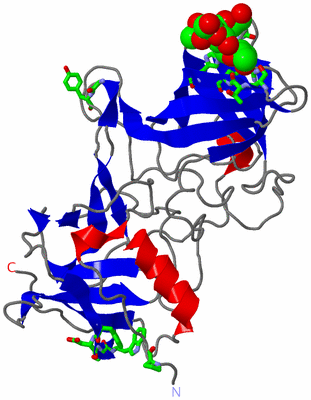 Image Asym. Unit - sites