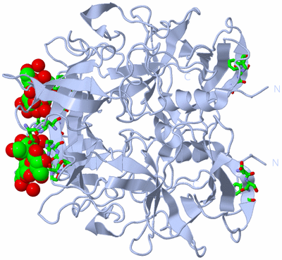 Image Biol. Unit 1 - sites