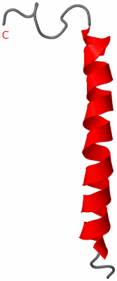 Image NMR Structure - model 1