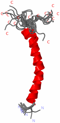 Image NMR Structure - all models