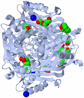 Image Biological Unit 1