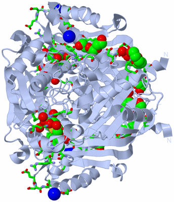 Image Biol. Unit 1 - sites