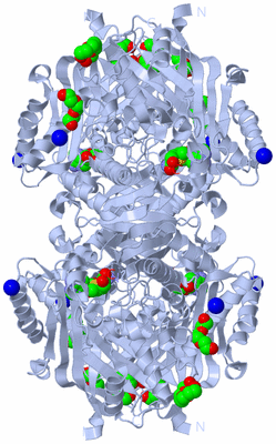 Image Biological Unit 2