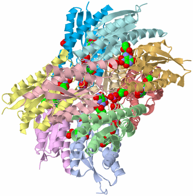 Image Biological Unit 1