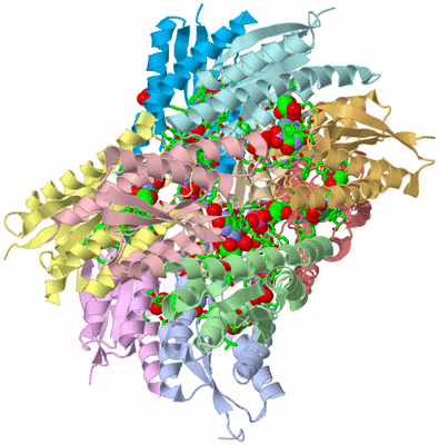 Image Biol. Unit 1 - sites