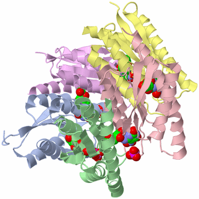 Image Biological Unit 2