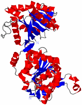 Image Asym./Biol. Unit