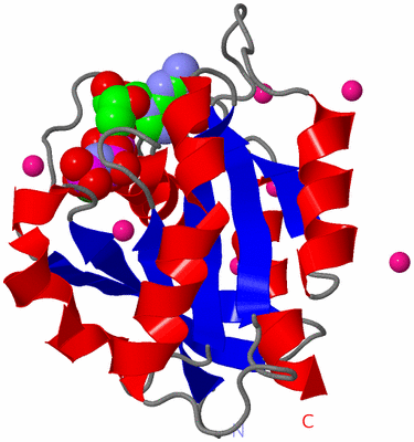 Image Asym./Biol. Unit
