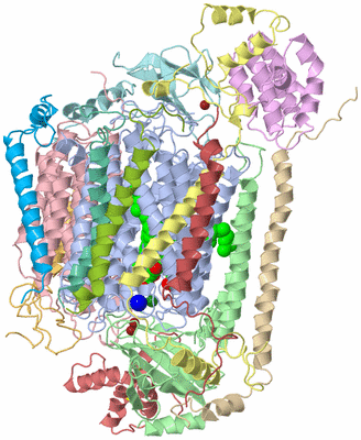 Image Biological Unit 1