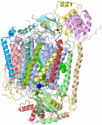 Image Biol. Unit 1 - sites