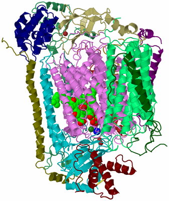 Image Biological Unit 2