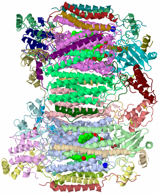 Image Biological Unit 3