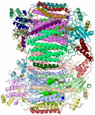 Image Asym. Unit - sites