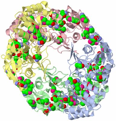 Image Asym./Biol. Unit