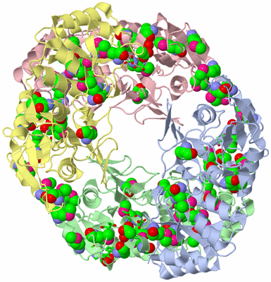 Image Asym./Biol. Unit - sites