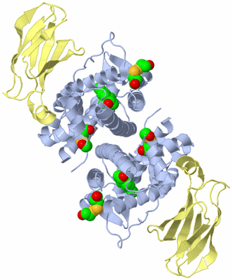Image Biological Unit 1