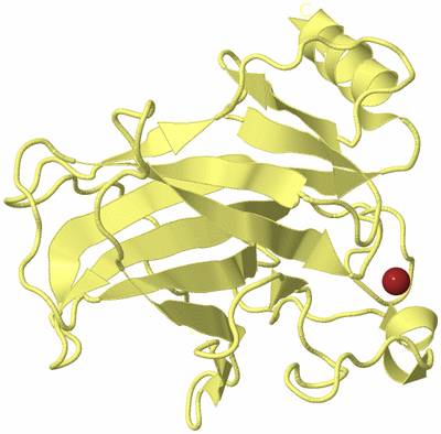 Image Biological Unit 4