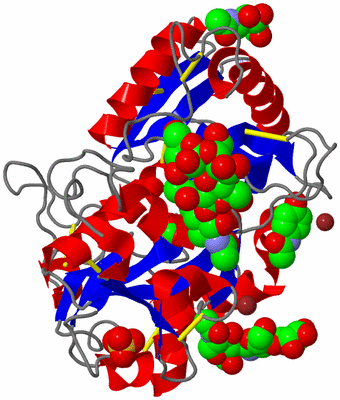 Image Asym./Biol. Unit