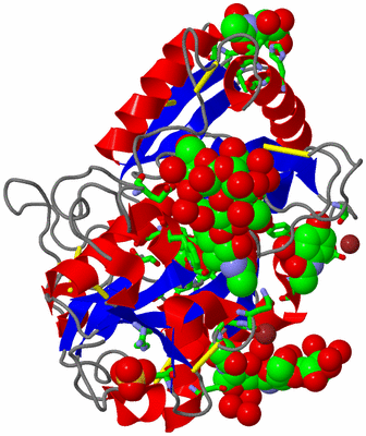 Image Asym./Biol. Unit - sites