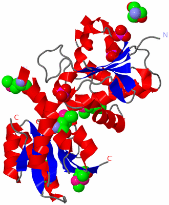 Image Asym./Biol. Unit