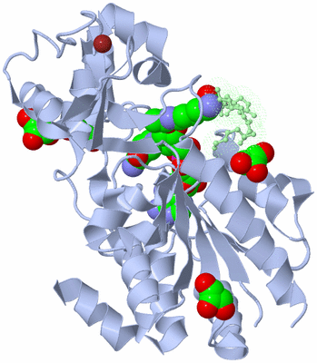 Image Biological Unit 1