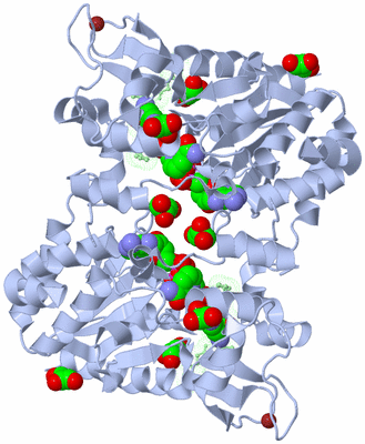 Image Biological Unit 2