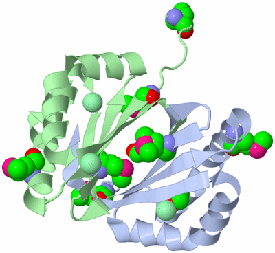 Image Asym./Biol. Unit