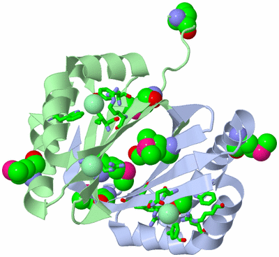 Image Asym./Biol. Unit - sites