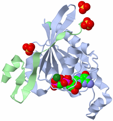 Image Biological Unit 1