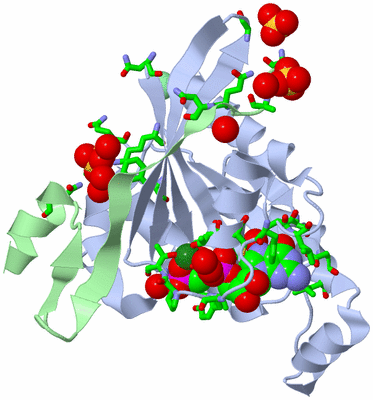 Image Biol. Unit 1 - sites