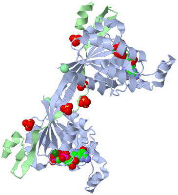 Image Biological Unit 2