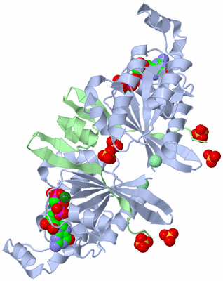 Image Biological Unit 3