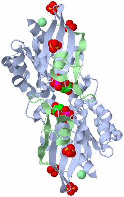 Image Biological Unit 4