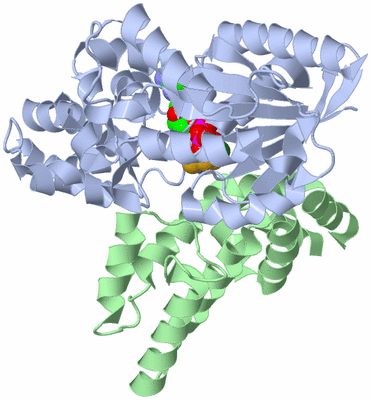 Image Biological Unit 1