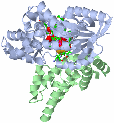 Image Biol. Unit 1 - sites