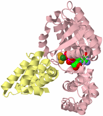 Image Biological Unit 2