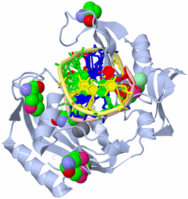 Image Biological Unit 1