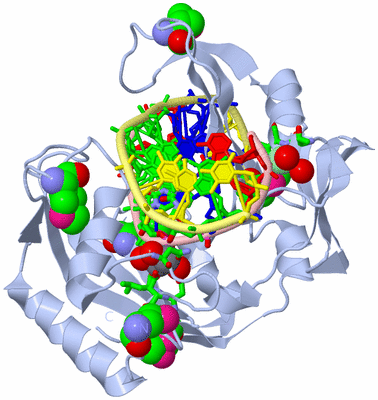 Image Biol. Unit 1 - sites