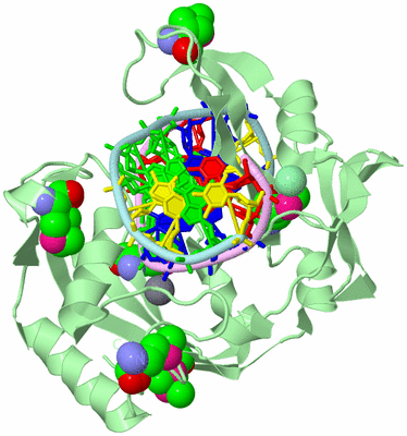 Image Biological Unit 2