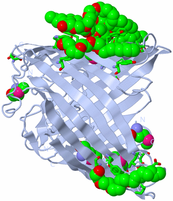 Image Biol. Unit 1 - sites