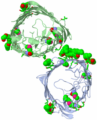 Image Asym. Unit - sites