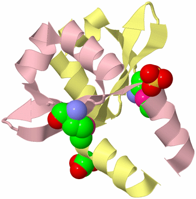 Image Biological Unit 2