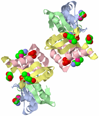 Image Biological Unit 3