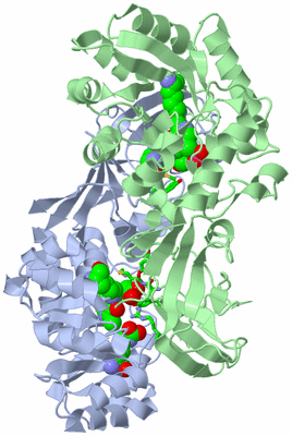 Image Biol. Unit 1 - sites