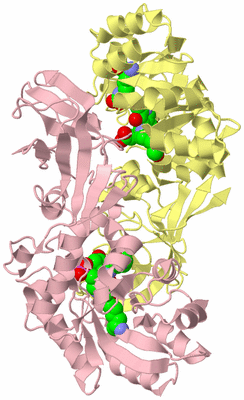 Image Biological Unit 2