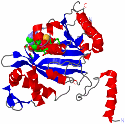 Image Asym./Biol. Unit - sites