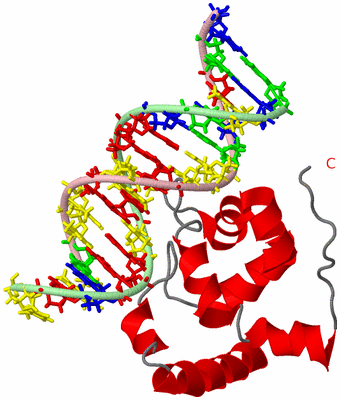 Image NMR Structure - model 1